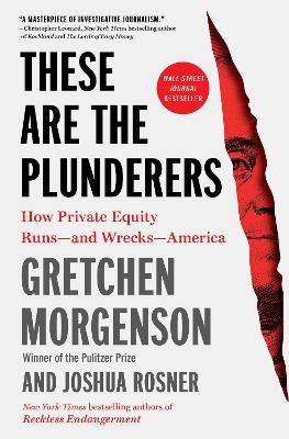 These Are the Plunderers: How Private Equity Runsand WrecksAmerica