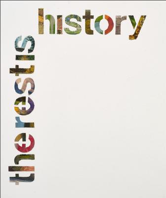 Amikam Toren: the rest is history
