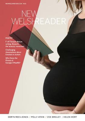 New Welsh Reader (New Welsh Review 120, Summer 2019): New Welsh Review 120, Summer 2019) 2019