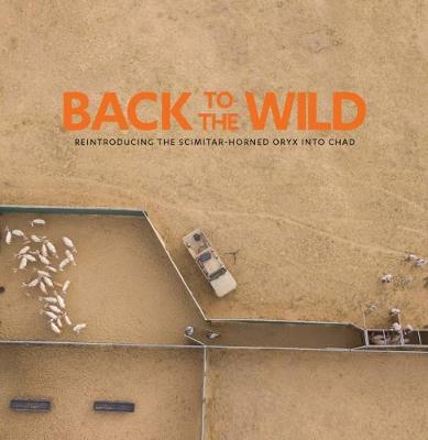 Back to the Wild: Reintroducing the Scimitar-Horned Oryx into Chad