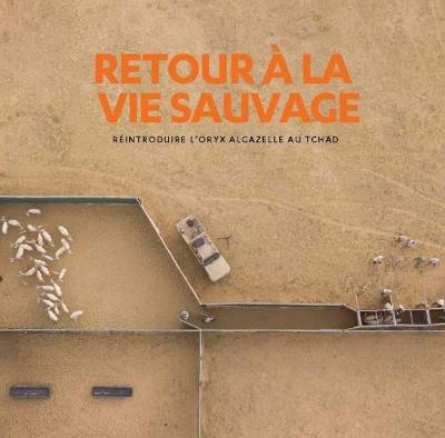 Retour a la vie sauvage: Reintroduire l'oryx algazelle au Tchad