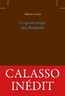Ce Qui Est Unique Chez Baudelaire