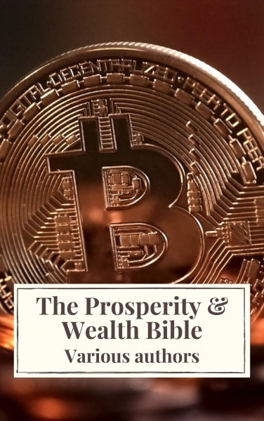 Prosperity & Wealth Bible