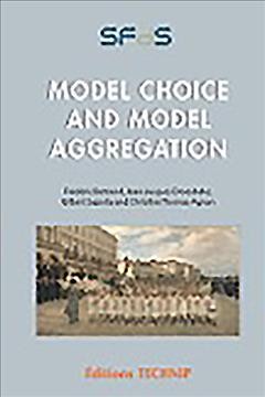 Model Choice and Model Aggregation