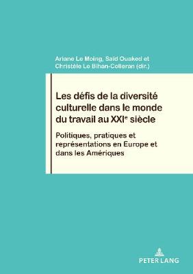 Les dÃ©fis de la diversitÃ© culturelle dans le monde du travail au XXIe siÃ¨cle: Politiques, pratiques et representations en Europe et dans les Ameriques