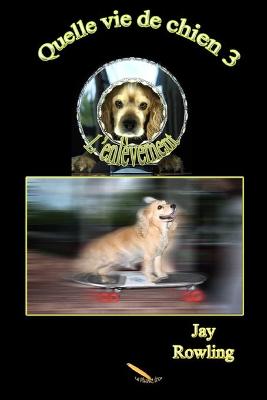 Quelle vie de chien 3  L''enlÃ¨vement