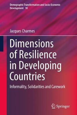 Dimensions of Resilience in Developing Countries: Informality, Solidarities and Carework 2019 ed.