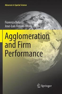 Agglomeration and Firm Performance Softcover reprint of the original 1st ed. 2018