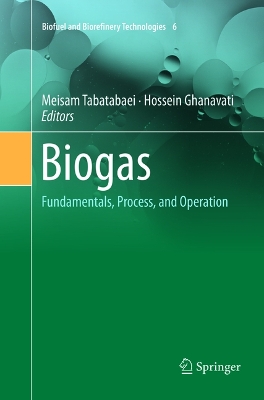 Biogas: Fundamentals, Process, and Operation Softcover Reprint of the Original 1st 2018 ed.