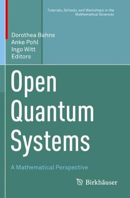 Open Quantum Systems: A Mathematical Perspective 2019 ed.