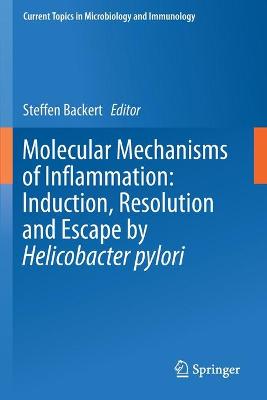 Molecular Mechanisms of Inflammation: Induction, Resolution and Escape by  Helicobacter pylori 2019 ed.