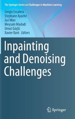 Inpainting and Denoising Challenges 2019 ed.