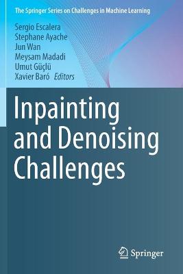 Inpainting and Denoising Challenges 2019 ed.