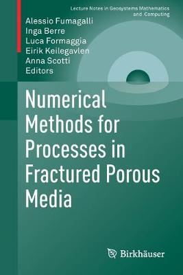 Numerical Methods for Processes in Fractured Porous Media 2019 ed.