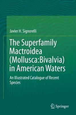 Superfamily Mactroidea (Mollusca:Bivalvia) in American Waters: An Illustrated Catalogue of Recent Species