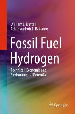 Fossil Fuel Hydrogen: Technical, Economic and Environmental Potential 2020 ed.