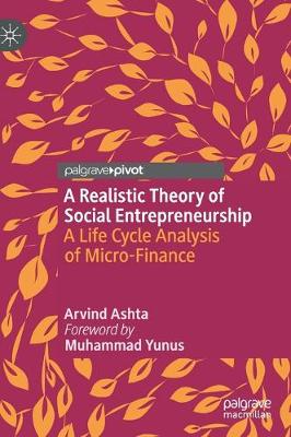 Realistic Theory of Social Entrepreneurship: A Life Cycle Analysis of Micro-Finance