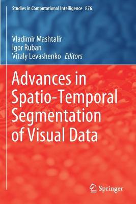 Advances in Spatio-Temporal Segmentation of Visual Data 2020 ed.