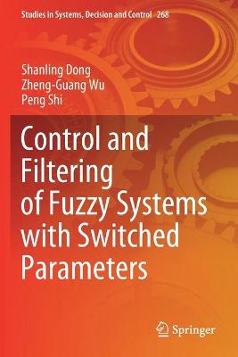 Control and Filtering of Fuzzy Systems with Switched Parameters 2020 ed.