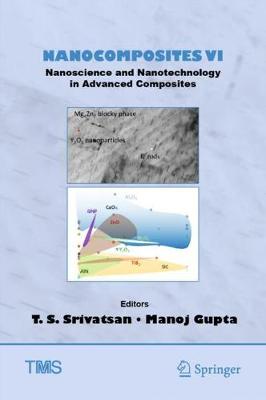Nanocomposites VI: Nanoscience and Nanotechnology in Advanced Composites 2019 ed.