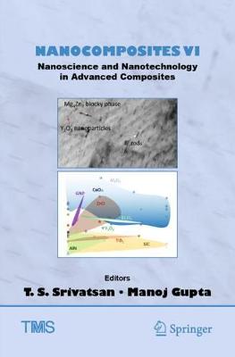 Nanocomposites VI: Nanoscience and Nanotechnology in Advanced Composites 2019 ed.