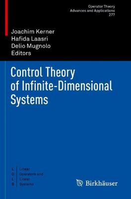 Control Theory of Infinite-Dimensional Systems 2020 ed.