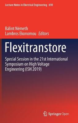 Flexitranstore: Special Session in the 21st International Symposium on High Voltage Engineering (ISH 2019)
