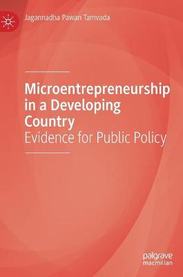 Microentrepreneurship in a Developing Country: Evidence for Public Policy 2021 ed.