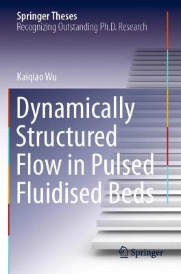 Dynamically Structured Flow in Pulsed Fluidised Beds 2021 ed.