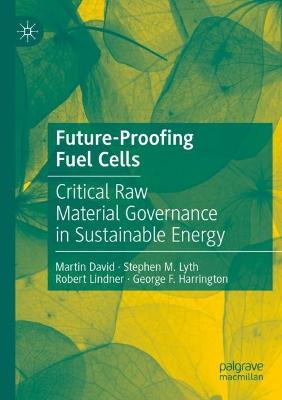 Future-Proofing Fuel Cells: Critical Raw Material Governance in Sustainable Energy 2021 ed.