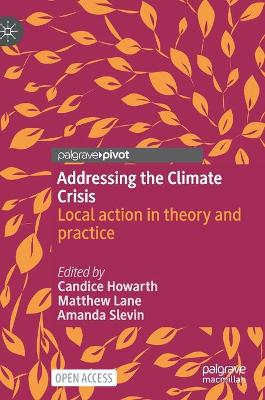Addressing the Climate Crisis: Local action in theory and practice 1st ed. 2022