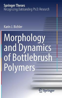 Morphology and Dynamics of Bottlebrush Polymers 2022 ed.