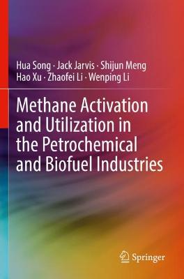 Methane Activation and Utilization in the Petrochemical and Biofuel Industries 2022 ed.