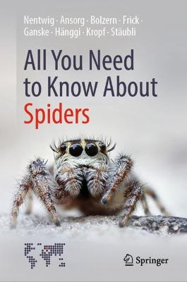 All You Need to Know About Spiders 2022 ed.