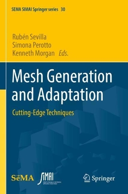Mesh Generation and Adaptation: Cutting-Edge Techniques 2022 ed.