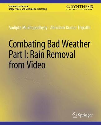 Combating Bad Weather Part I: Rain Removal from Video