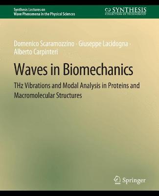 Waves in Biomechanics: THz Vibrations and Modal Analysis in Proteins and Macromolecular Structures
