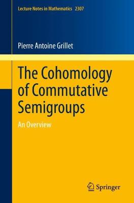 Cohomology of Commutative Semigroups: An Overview 1st ed. 2022