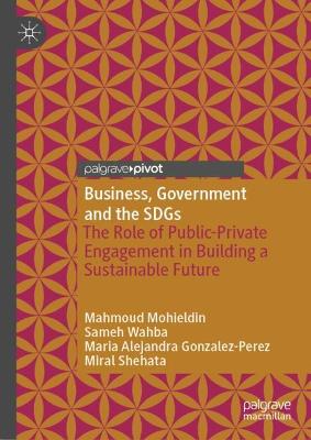 Business, Government and the SDGs: The Role of Public-Private Engagement in Building a Sustainable Future 1st ed. 2023