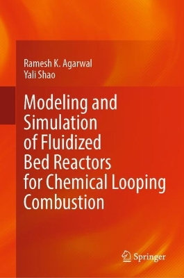 Modeling and Simulation of Fluidized Bed Reactors for Chemical Looping  Combustion 2024 ed.