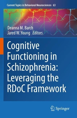 Cognitive Functioning in Schizophrenia:  Leveraging the RDoC Framework 1st ed. 2023