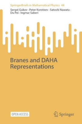 Branes and DAHA Representations 1st ed. 2023