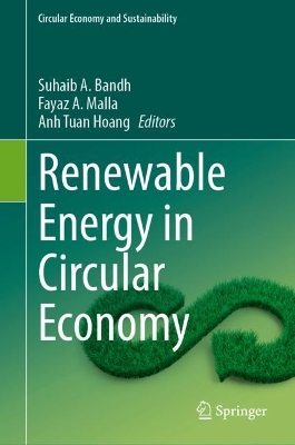 Renewable Energy in Circular Economy