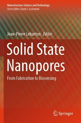 Solid State Nanopores: From Fabrication to Biosensing 2023 ed.