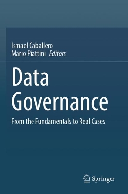 Data Governance: From the Fundamentals to Real Cases