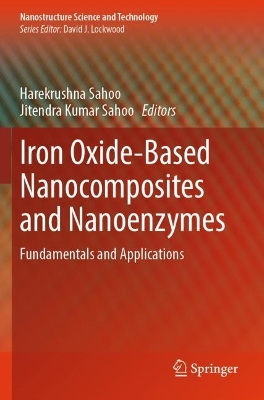Iron Oxide-Based Nanocomposites and Nanoenzymes: Fundamentals and Applications