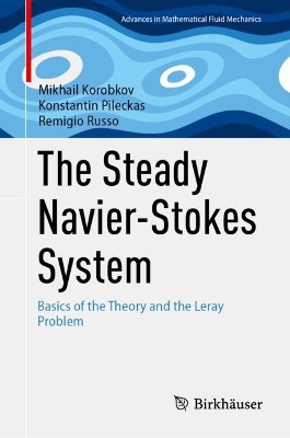 Steady Navier-Stokes System: Basics of the Theory and the Leray Problem 1st ed. 2024
