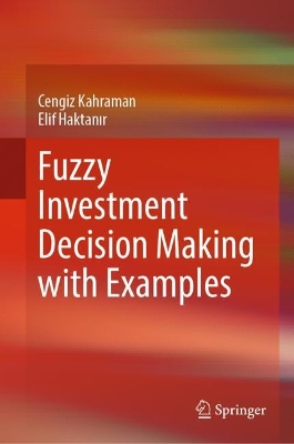 Fuzzy Investment Decision Making with Examples 2024 ed.