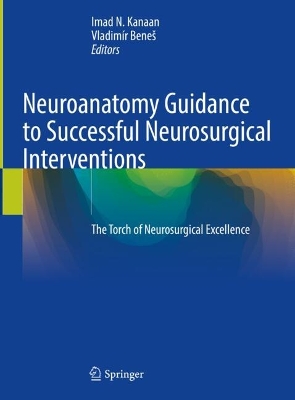 Neuroanatomy Guidance to Successful Neurosurgical Interventions: The Torch of Neurosurgical Excellence 2024 ed.