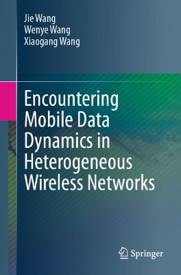 Encountering Mobile Data Dynamics in Heterogeneous Wireless Networks 2024 ed.